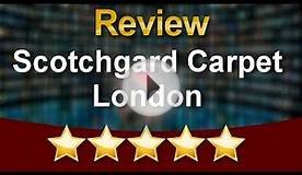 Scotchgard Carpet London Kensington Wonderful 5 Star